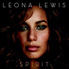 Spirit (2007)<br>
Spirit The Deluxe Edition (2008)